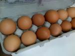 fresh eggs 02-2013